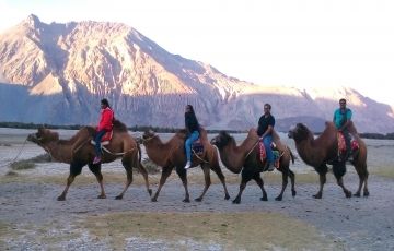 Amazing 5 Days 4 Nights nubra valley Vacation Package