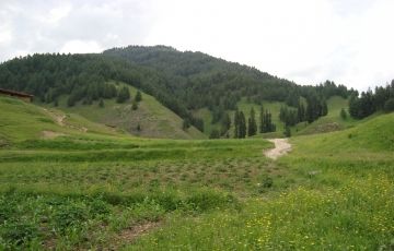 Pleasurable 3 Days 2 Nights pahalgam Family Trip Package