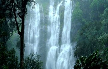 Pleasurable 5 Days 4 Nights Munnar Tour Package