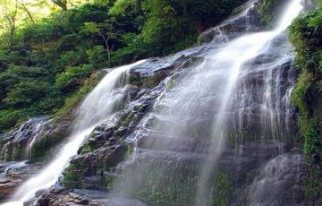 Pleasurable 11 Days 10 Nights Pelling Tour Package