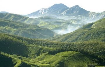 Heart-warming 5 Days 4 Nights Munnar Vacation Package
