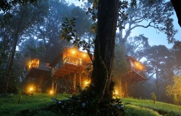 Memorable 5 Days 4 Nights Cochin, Munnar, Thekkady with Alleppey Tour Package