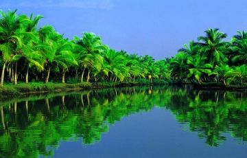 Magical 6 Days 5 Nights Cochin, Munnar, Thekkaday and Allappey Tour Package