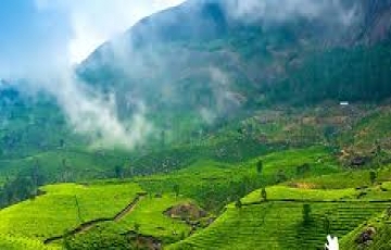 Beautiful 5 Days Munnar, THEKKADY, ALLEPPEY and COCHIN Holiday Package