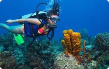 Memorable 5 Days SOUTH ANDAMAN to Andaman Tour Package