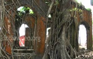 Memorable 5 Days SOUTH ANDAMAN to Andaman Tour Package