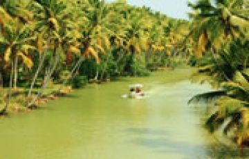 Pleasurable 6 Days 5 Nights Munnar, Alleppey, Kovalam and Thiruvananthapuram Holiday Package