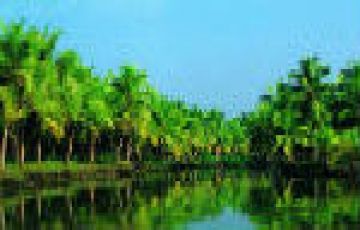 Ecstatic 6 Days 5 Nights Cochin, Munnar, Thekkady and Alleppey Holiday Package