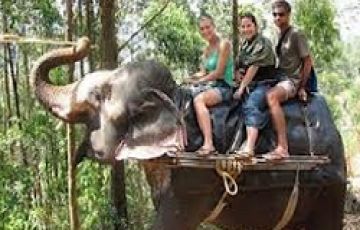 Pleasurable 7 Days 6 Nights Athirappally, Vazhachal, Munnar, Thekkady and Kumarakom Vacation Package