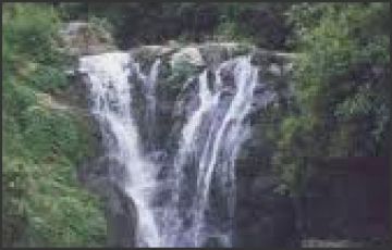 Amazing Thekkady Tour Package for 9 Days 8 Nights