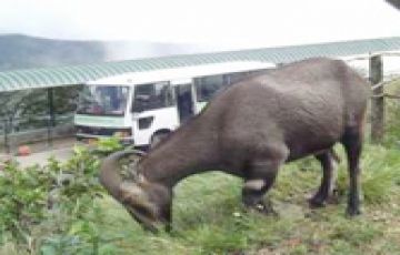 Amazing Thekkady Tour Package for 9 Days 8 Nights