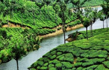 Memorable 9 Days 8 Nights Cochin, Cherai, Munnar, Thekkady, Alleppey, Kumarakom and Kovalam Tour Package