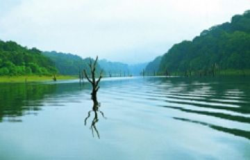 Memorable 9 Days 8 Nights Cochin, Cherai, Munnar, Thekkady, Alleppey, Kumarakom and Kovalam Tour Package