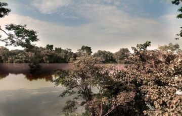 Memorable 5 Days 4 Nights Pelling Holiday Package