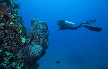 Experience 4 Days 3 Nights Havelock Island Tour Package