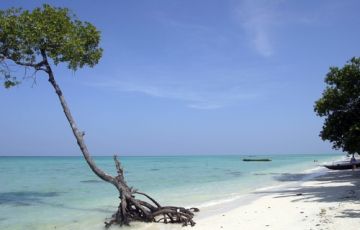Pleasurable 6 Days 5 Nights Port Blair and Havelock Island Trip Package