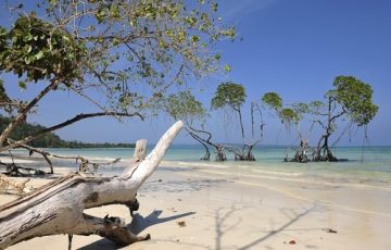 Pleasurable 6 Days 5 Nights Port Blair and Havelock Island Trip Package