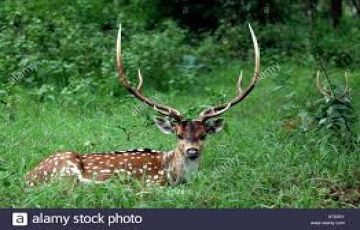 Amazing 7 Days 6 Nights Coorg Friends Tour Package