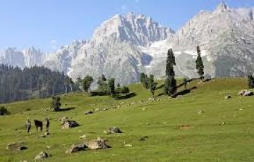 Srinagar Kashmir JK Tour Package for 5 Days 4 Nights