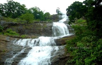 Kerala Tour Package 2 Nights / 3 Days