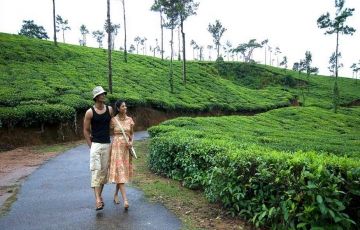 Coorg Family Tour For 4 Days / 3 Nights