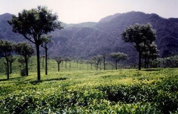 Beautiful 8 Days 7 Nights Bangalore Holiday Package Beautiful 8 Days 7 Nights Bangalore Holiday Package