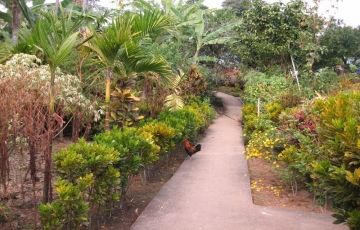 Experience 3 Days 2 Nights Shillong Trip Package