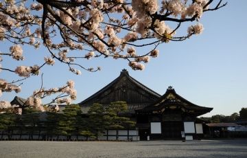 Experience Kanazawa Tour Package for 10 Days 9 Nights