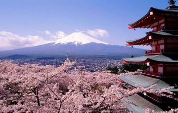 Family Getaway 8 Days 7 Nights Kyoto Trip Package