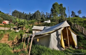 Heart-warming 6 Days 5 Nights Banglore, Mysore, Ooty and Coorg Trip Package