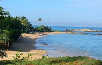 Heart-warming 4 Days 3 Nights Pinnawala, Kandy, Beruwala Beach and Colombo Holiday Package