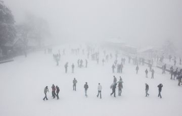 Shimla, Kufri, Chandigarh with Manali Tour Package for 7 Days