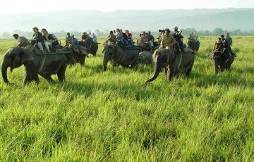 Assam & Meghalaya 6 Nights / 7 Days