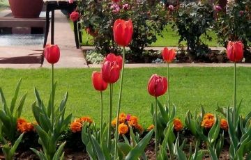 3 Days Mumbai to Lotus Temple Tour Package