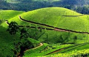 3 Days Cochin to Munnar Tour Package
