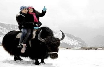 Experience 4 Days 3 Nights The Mall Road, The Ridge, Advance Study and Lakkad Bazzar Vacation Package