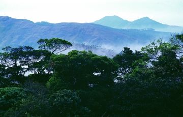 Best 5 Days 4 Nights Cochin, Munnar, Thekkady and Alleppey Vacation Package