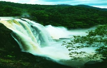 Best 5 Days 4 Nights Cochin, Munnar, Thekkady and Alleppey Vacation Package