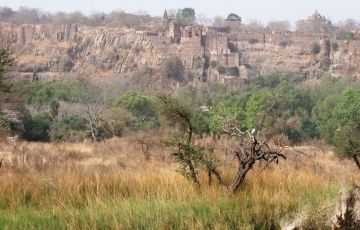 Pleasurable 7 Days 6 Nights New Delhi, Jaipur, Ranthambhore with Agra Tour Package