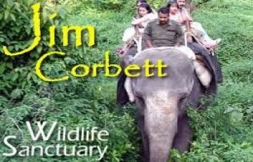 Ecstatic Corbett Tour Package for 3 Days 2 Nights