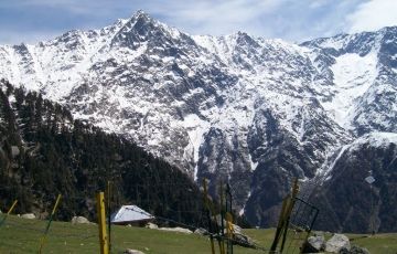 Heart-warming 2 Days 1 Night Triund Vacation Package