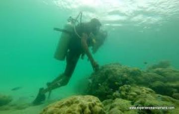 Experience 6 Days 5 Nights Port Blair and Havelock Trip Package