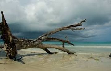 Experience 5 Days 4 Nights Port Blair with Havelock Vacation Package