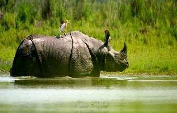 Pleasurable 7 Days 6 Nights Cherrapunjee Tour Package