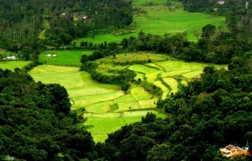 Weekend Coorg & Mysore Tour