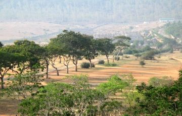 Amazing 7 Days 6 Nights Bangalore, Mysore and Hassan Tour Package
