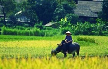 14 Days 13 Nights Ho Chi Minh City Holiday Package 14 Days 13 Nights Ho Chi Minh City Holiday Package