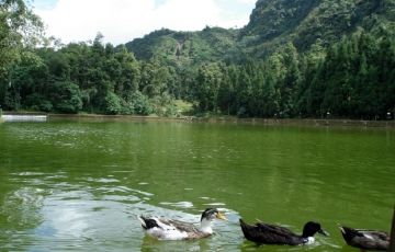 Best 5 Days 4 Nights Zuluk with Reshi Khola Vacation Package