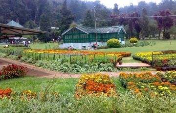 Pleasurable 6 Days 5 Nights Mysore, Ooty with Bangalore Trip Package