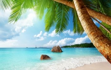Beautiful 6 Days 5 Nights Mahe Island with Praslin Island Holiday Package